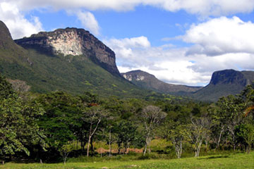 Chapada Diamantina - Palmeiras - Morro Branco<br /><span>Crédito: commons.wikimedia.org</span>