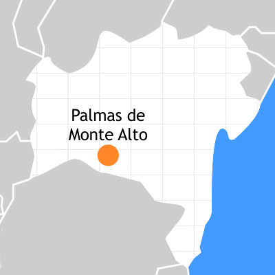 Palmas de Monte Alto