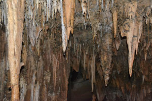 Terra Ronca - Caverna Angélica - Estalactites