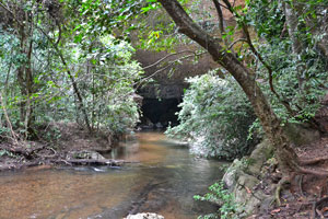 Terra Ronca - Caverna Angélica - Entrada da Caverna