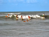 Tibau do Sul - Surfistas na Baía dos Golfinhos
