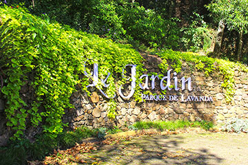 Gramado - Le Jardin Parque de Lavanda