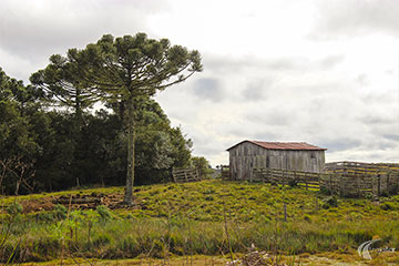 Jaquirana - Bela Paisagem Rural