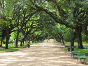 Porto Alegre - Parque Marinha do Brasil - Muito Verde
