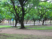Porto Alegre - Parque Marinha do Brasil - Quadra de basquete