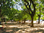 Porto Alegre - Parque Moinhos de Vento - Ideal para caminhadas