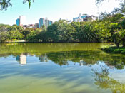 Porto Alegre - Parque Moinhos de Vento - Natureza X Urbanismo