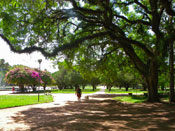 Porto Alegre - Parque Farroupilha - Muito verde