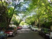Porto Alegre - Rua Santa Teresinha, sombra em abundância