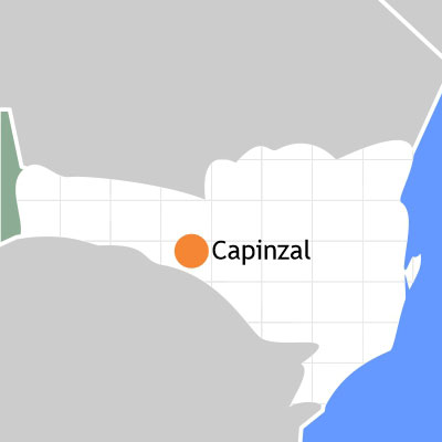 Capinzal
